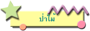 ป่าไม้