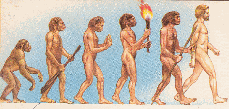 img19.gif