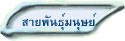 สายพันธุ์มนุษย์