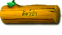 สัตว์ป่า