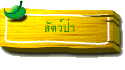 สัตว์ป่า