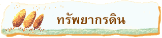 ทรัพยากรดิน