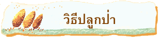วิธีปลูกป่า