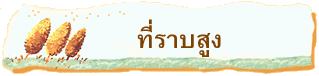 ที่ราบสูง