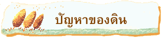 ปัญหาของดิน