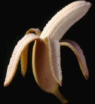 banana_03.jpg