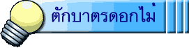 ตักบาตรดอกไม้
