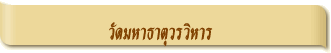 วัดมหาธาตุวรวิหาร