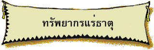 ทรัพยากรแร่ธาตุ