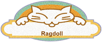 Ragdoll