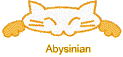 Abysinian