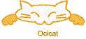 Ocicat