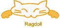 Ragdoll