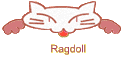 Ragdoll
