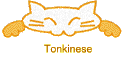 Tonkinese