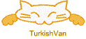 TurkishVan