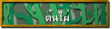 ต้นไผ่