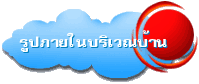 รูปภายในบริเวณบ้าน