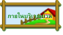 ภายในบริเวณบ้าน