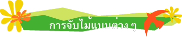 การจับไม้แบบต่างๆ