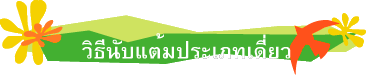 วิธีนับแต้มประเภทเดี่ยว