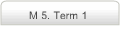M 5. Term 1
