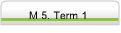 M 5. Term 1