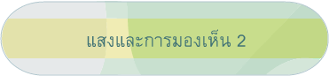 แสงและการมองเห็น 2