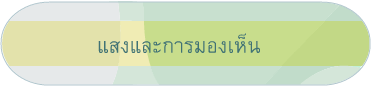 แสงและการมองเห็น