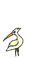 BIRDWORM1.GIF