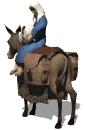 donkey1_babyjesusmary_md_wht.gif