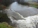 river river.jpg