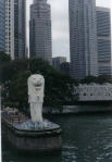 s'pore s'pore.jpg