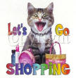 shopping shopping.jpg