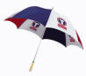 umbrella umbrella.jpg