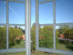 window window.jpg