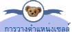 การวางตำแหน่งเซลล์