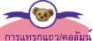 การแทรกแถว/คอลัมน์