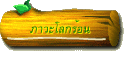 ภาวะโลกร้อน
