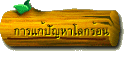 การแก้ปัญหาโลกร้อน