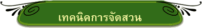 เทคนิคการจัดสวน