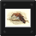 b28.gif