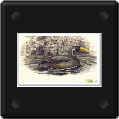 b33.gif