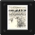 b46.gif