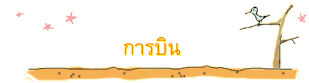 การบิน