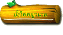 บั้งไฟพญานาค