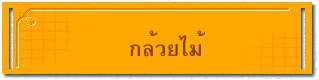 กล้วยไม้