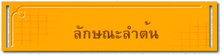 ลักษณะลำต้น