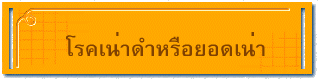 โรคเน่าดำหรือยอดเน่า