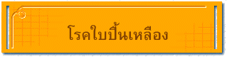 โรคใบปื้นเหลือง